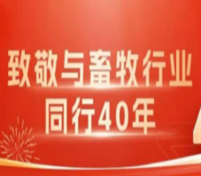 博大集团-就业引擎促民生，全链协同助振兴
